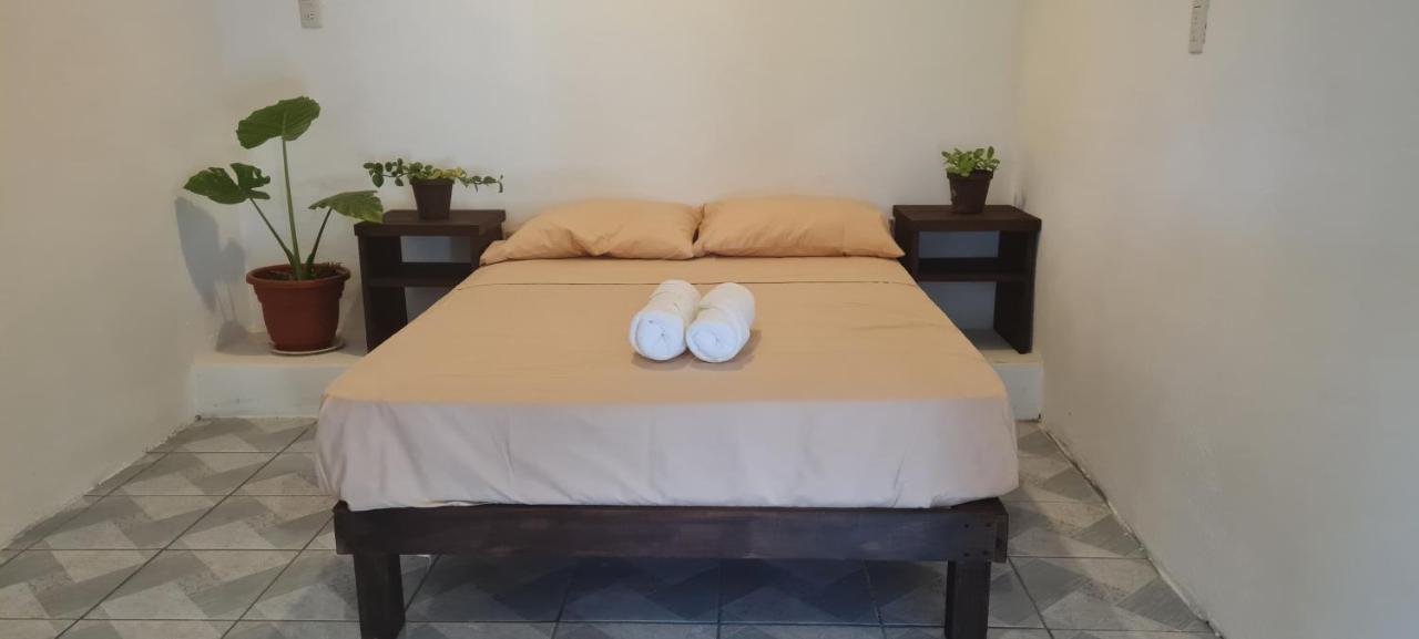 Casa Choco Hotel Mazunte Bagian luar foto