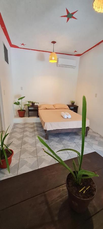 Casa Choco Hotel Mazunte Bagian luar foto