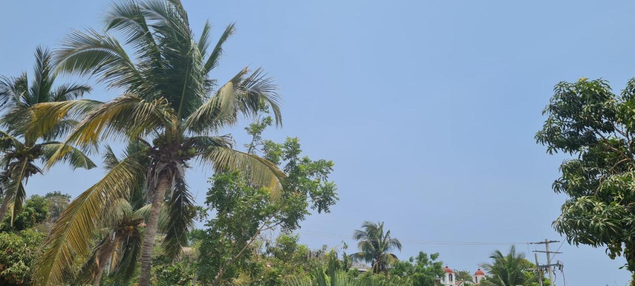 Casa Choco Hotel Mazunte Bagian luar foto