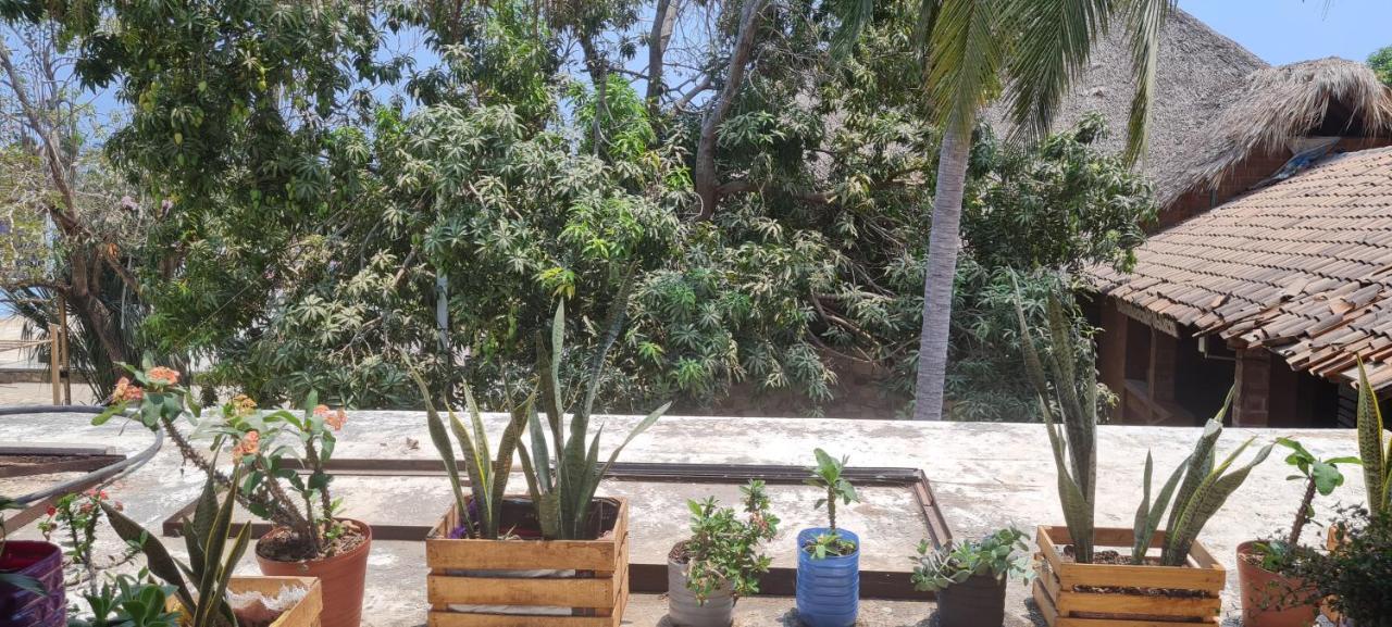 Casa Choco Hotel Mazunte Bagian luar foto