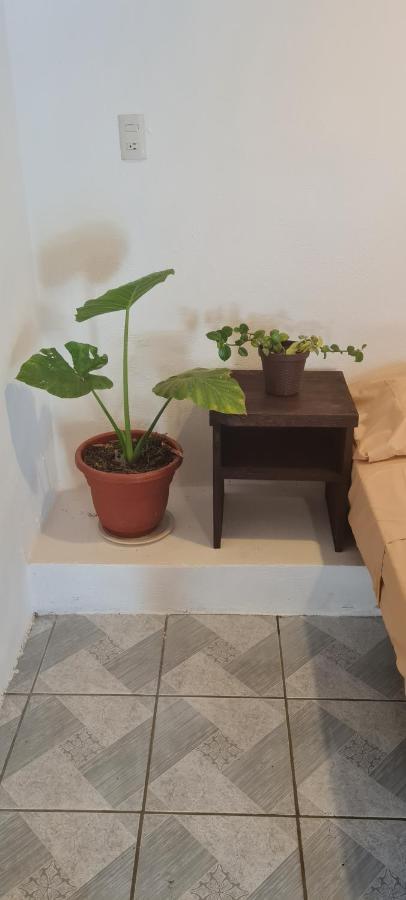 Casa Choco Hotel Mazunte Bagian luar foto