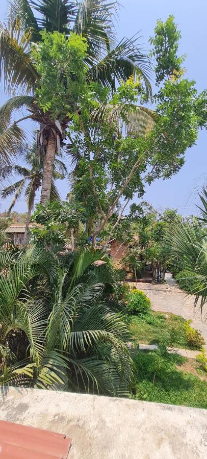 Casa Choco Hotel Mazunte Bagian luar foto